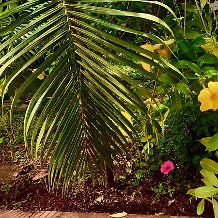 Stan-Inn, North Goa, Vagator, With Strong Wifi,Free Private Parking & Kitchen, Can Cook Where You Stay Esterno foto