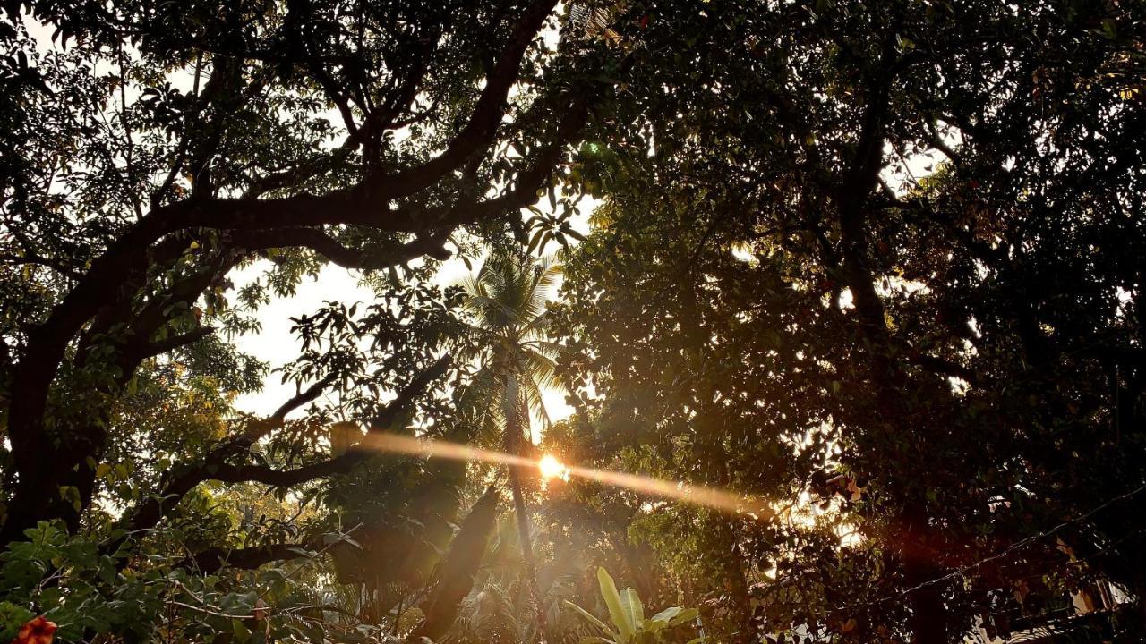 Stan-Inn, North Goa, Vagator, With Strong Wifi,Free Private Parking & Kitchen, Can Cook Where You Stay Esterno foto