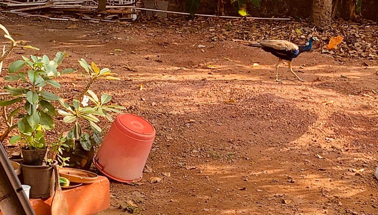 Stan-Inn, North Goa, Vagator, With Strong Wifi,Free Private Parking & Kitchen, Can Cook Where You Stay Esterno foto