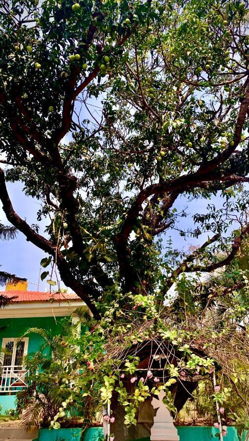 Stan-Inn, North Goa, Vagator, With Strong Wifi,Free Private Parking & Kitchen, Can Cook Where You Stay Esterno foto